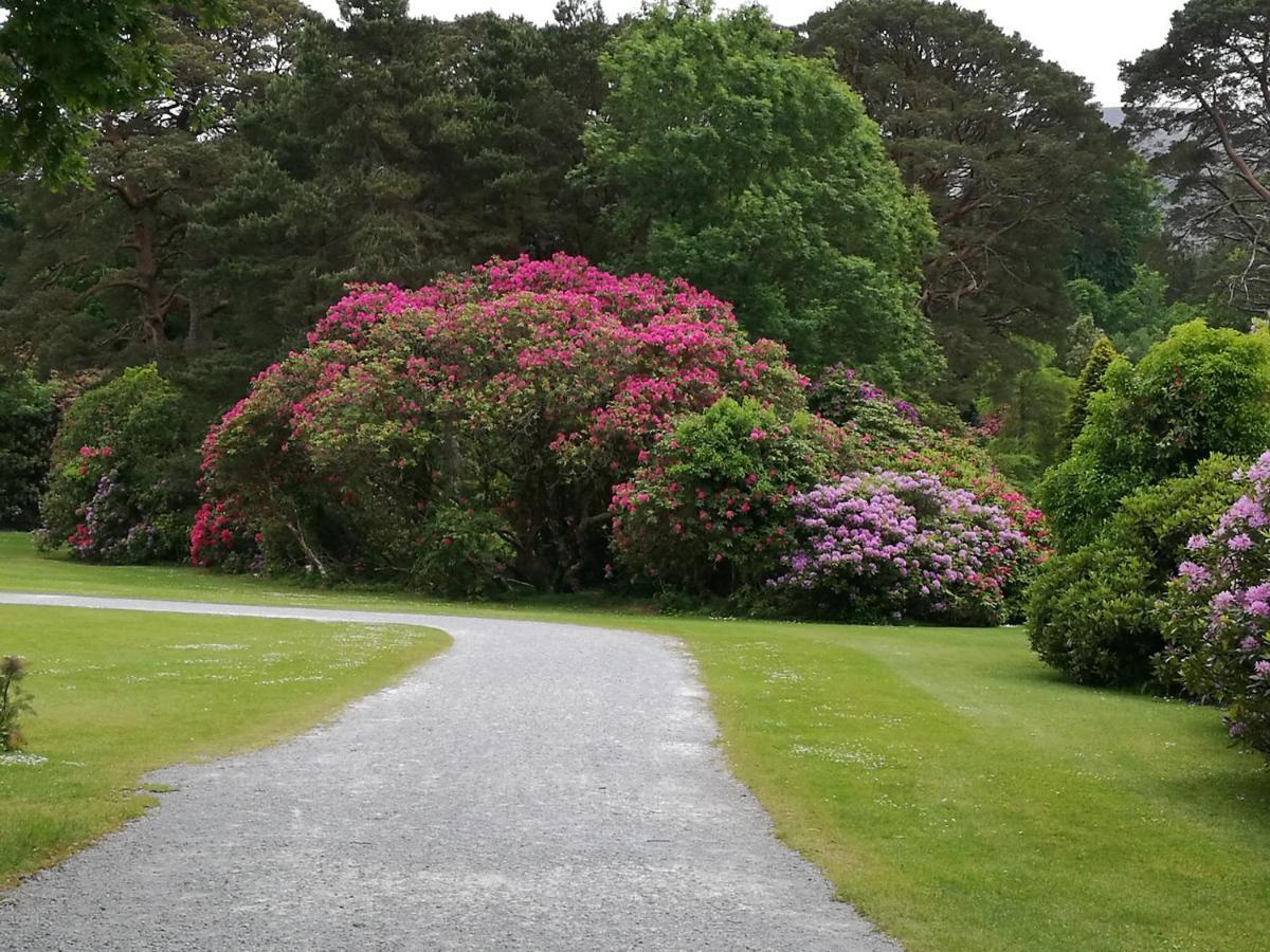 Hotel Watersedge Seaviews Kenmare Esterno foto