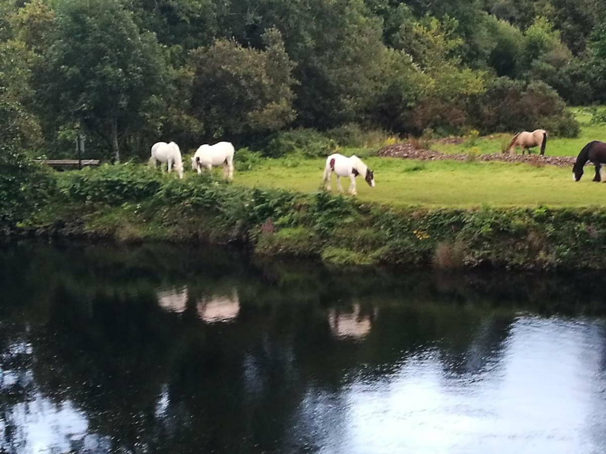 Hotel Watersedge Seaviews Kenmare Esterno foto